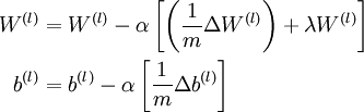  \begin{align}
W^{(l)} &= W^{(l)} - \alpha \left[ \left(\frac{1}{m} \Delta W^{(l)} \right) + \lambda W^{(l)}\right] \\
b^{(l)} &= b^{(l)} - \alpha \left[\frac{1}{m} \Delta b^{(l)}\right]
\end{align}